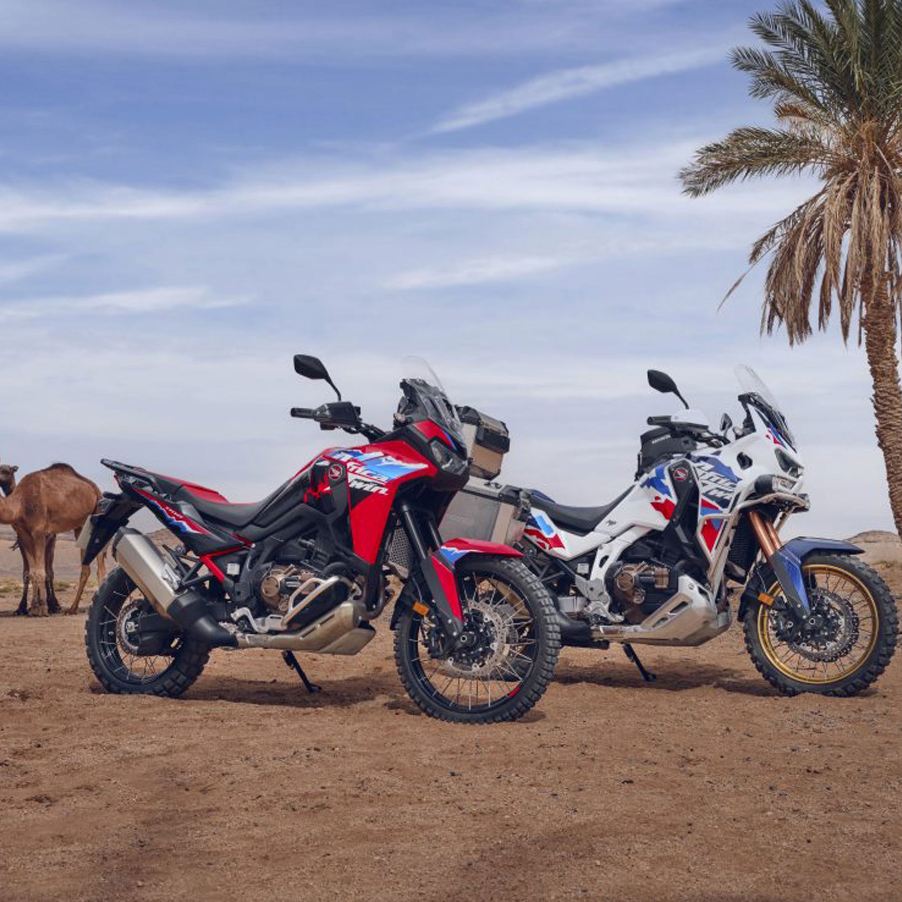 New Honda Bikes | Honda of Bournemouth | CRF1100L - Adventure Sports