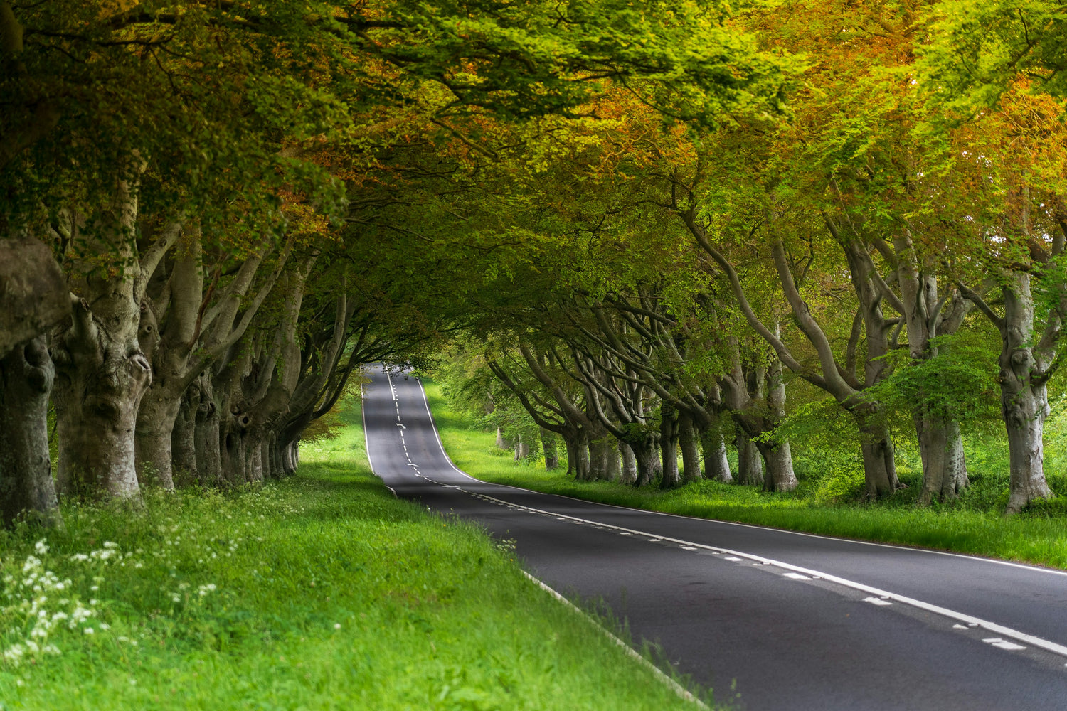 Top Scenic Motorcycle Routes in Dorset to Explore on Your Honda